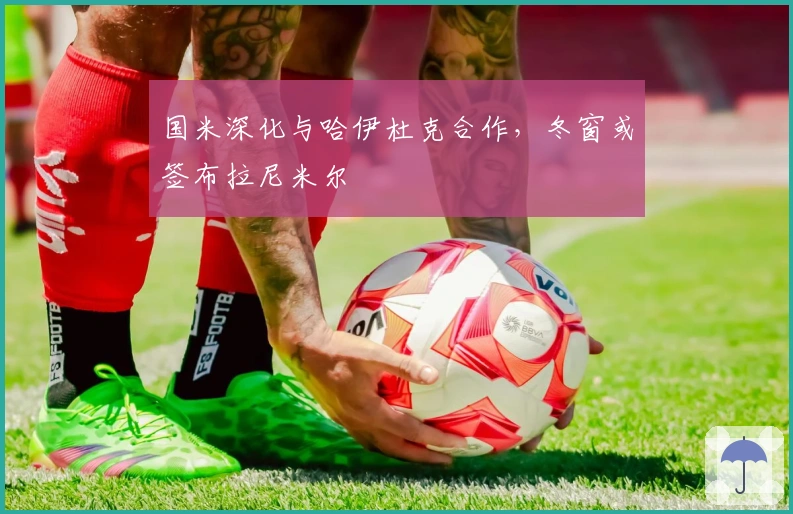 国米深化与哈伊杜克合作，冬窗或签布拉尼米尔